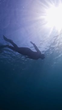 葉山ダイビングサービスに投稿された画像（2025/8/30）