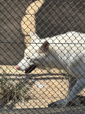 名古屋市東山動植物園に投稿された画像（2025/8/30）