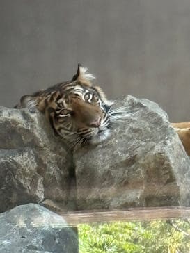 名古屋市東山動植物園に投稿された画像（2025/8/30）