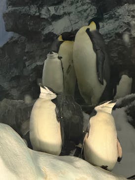 名古屋港水族館に投稿された画像（2025/8/30）