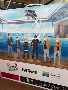 上越市立水族博物館 うみがたりに投稿された画像（2025/8/30）