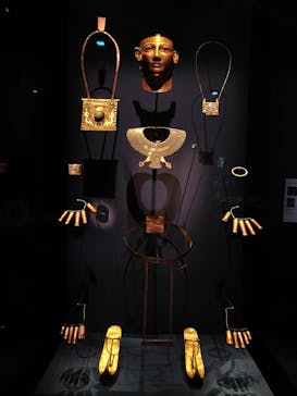 ACN ラムセス大王展 ファラオたちの黄金に投稿された画像（2025/8/30）