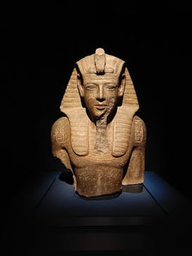 ACN ラムセス大王展 ファラオたちの黄金に投稿された画像（2025/8/30）