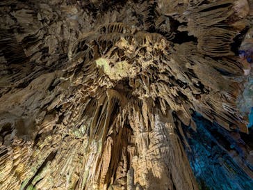 あぶくま洞に投稿された画像（2025/8/30）