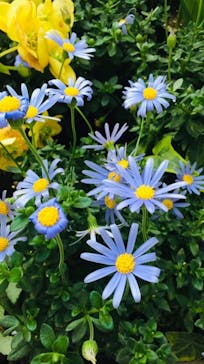 日本モンキーパークに投稿された画像（2025/8/30）