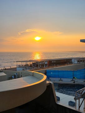 新江ノ島水族館に投稿された画像（2025/8/30）