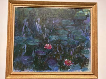 モネ 睡蓮のとき（豊田会場）に投稿された画像（2025/8/30）