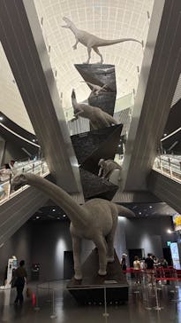 福井県立恐竜博物館に投稿された画像（2025/8/30）