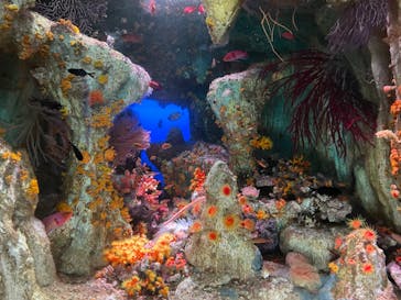 サンシャイン水族館に投稿された画像（2025/8/30）