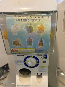 京都水族館に投稿された画像（2025/8/30）