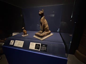 ブルックリン博物館所蔵　特別展　古代エジプト（豊田会場）に投稿された画像（2025/8/30）