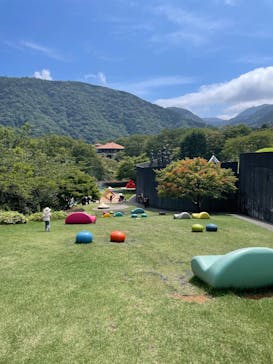 彫刻の森美術館に投稿された画像（2025/8/30）