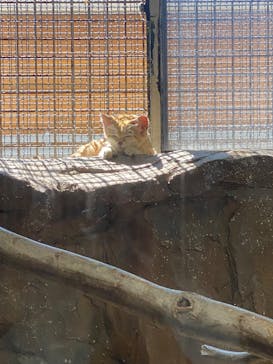 那須どうぶつ王国に投稿された画像（2025/8/30）