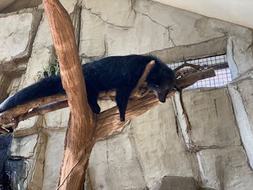 那須どうぶつ王国に投稿された画像（2025/8/30）