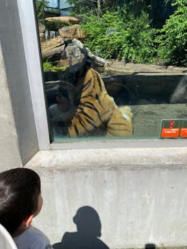 那須どうぶつ王国に投稿された画像（2025/8/30）