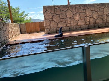 那須どうぶつ王国に投稿された画像（2025/8/30）