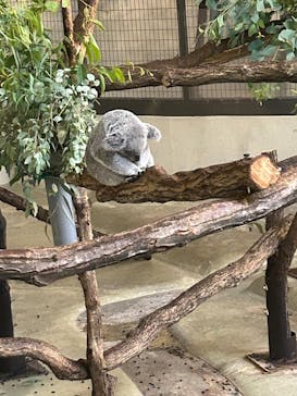 多摩動物公園に投稿された画像（2025/8/30）
