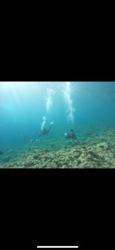 武藤潜水に投稿された画像（2025/8/31）