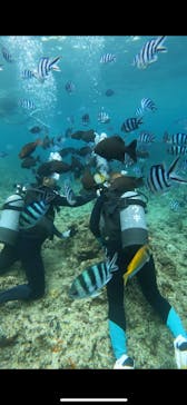 武藤潜水に投稿された画像（2025/8/31）