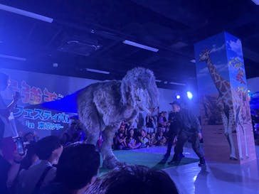 最強王図鑑フェスティバル in 東京タワーに投稿された画像（2025/8/31）