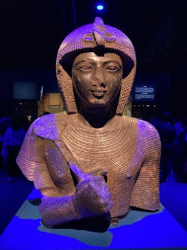 ACN ラムセス大王展 ファラオたちの黄金に投稿された画像（2025/8/31）