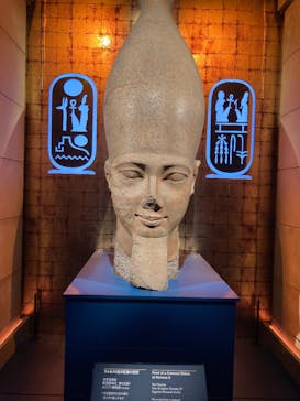 ACN ラムセス大王展 ファラオたちの黄金に投稿された画像（2025/8/31）