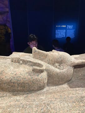 ACN ラムセス大王展 ファラオたちの黄金に投稿された画像（2025/8/31）