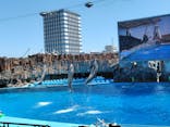 名古屋港水族館に投稿された画像（2025/8/31）
