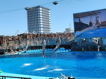 名古屋港水族館に投稿された画像（2025/8/31）