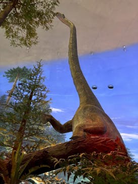 福井県立恐竜博物館に投稿された画像（2025/8/31）