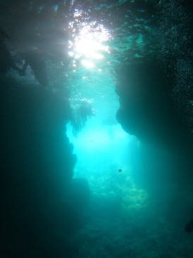 武藤潜水に投稿された画像（2025/8/31）