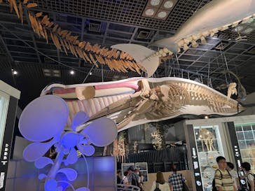 国立科学博物館に投稿された画像（2025/8/31）