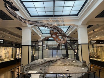 国立科学博物館に投稿された画像（2025/8/31）