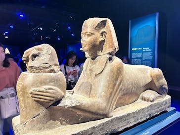 ACN ラムセス大王展 ファラオたちの黄金に投稿された画像（2025/8/31）