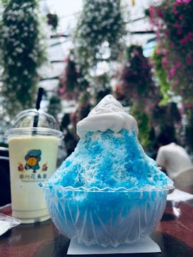 掛川花鳥園に投稿された画像（2025/8/31）