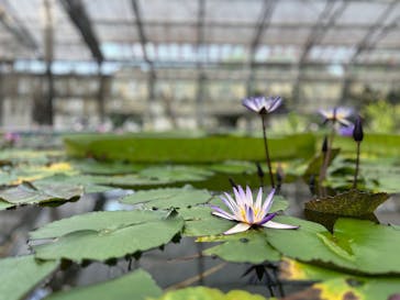 掛川花鳥園に投稿された画像（2025/8/31）