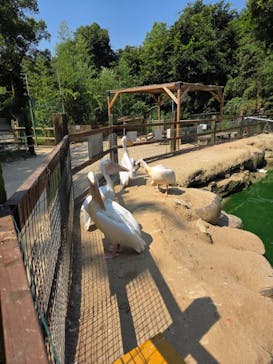 しろとり動物園に投稿された画像（2025/8/31）