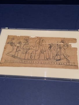ブルックリン博物館所蔵　特別展　古代エジプト（豊田会場）に投稿された画像（2025/8/31）