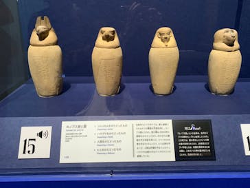 ブルックリン博物館所蔵　特別展　古代エジプト（豊田会場）に投稿された画像（2025/8/31）
