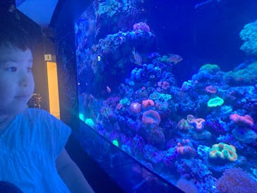 マクセル アクアパーク品川に投稿された画像（2025/8/31）