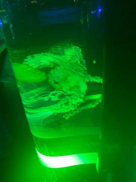 マクセル アクアパーク品川に投稿された画像（2025/8/31）