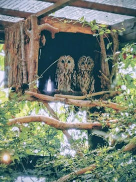 環境水族館アクアマリンふくしまに投稿された画像（2025/8/31）