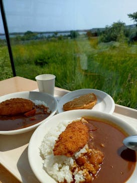 環境水族館アクアマリンふくしまに投稿された画像（2025/8/31）