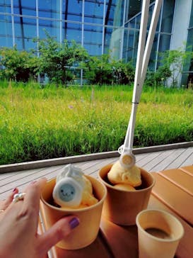 環境水族館アクアマリンふくしまに投稿された画像（2025/8/31）