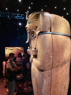 ACN ラムセス大王展 ファラオたちの黄金に投稿された画像（2025/8/31）