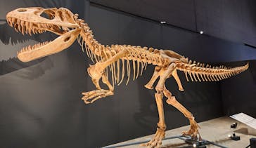 福井県立恐竜博物館に投稿された画像（2025/8/31）