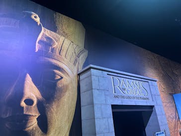 ACN ラムセス大王展 ファラオたちの黄金に投稿された画像（2025/8/31）