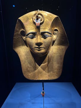 ACN ラムセス大王展 ファラオたちの黄金に投稿された画像（2025/8/31）