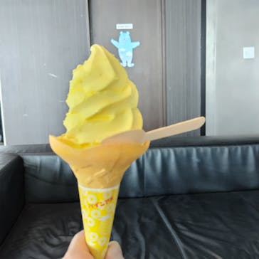 ハルカス300(展望台)に投稿された画像（2025/8/31）