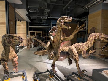 福井県立恐竜博物館に投稿された画像（2025/8/31）